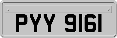 PYY9161