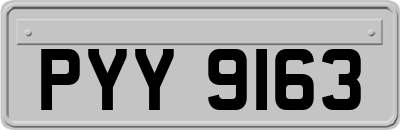 PYY9163