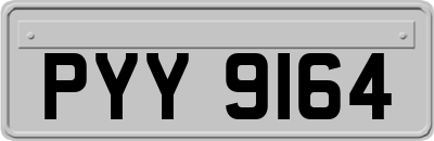 PYY9164