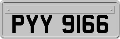 PYY9166