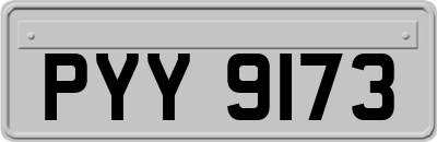 PYY9173
