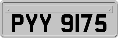 PYY9175