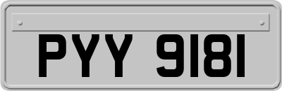 PYY9181