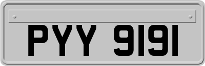 PYY9191