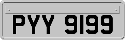 PYY9199
