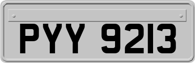PYY9213