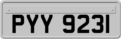 PYY9231