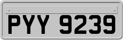 PYY9239