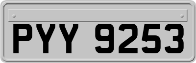 PYY9253