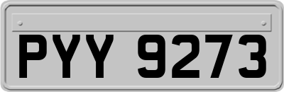 PYY9273