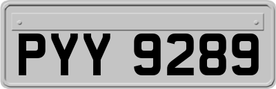 PYY9289