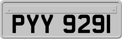 PYY9291