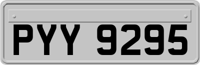 PYY9295