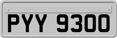 PYY9300