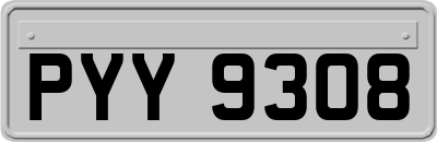 PYY9308