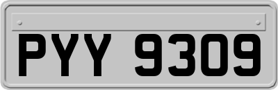 PYY9309