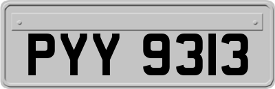 PYY9313