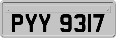 PYY9317