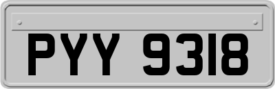 PYY9318