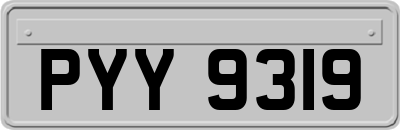 PYY9319