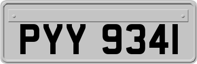 PYY9341