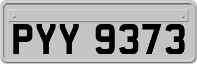 PYY9373