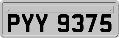 PYY9375