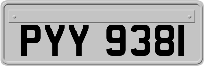 PYY9381