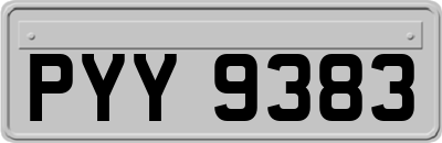 PYY9383