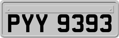 PYY9393