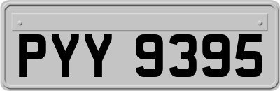 PYY9395