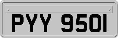 PYY9501