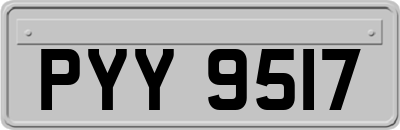 PYY9517