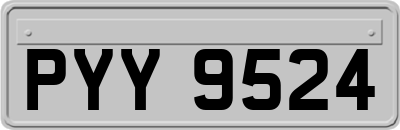PYY9524