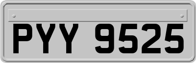 PYY9525