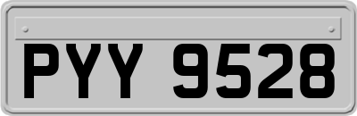PYY9528