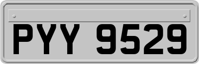 PYY9529