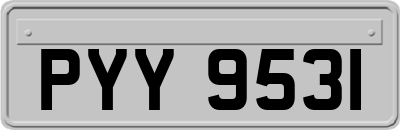 PYY9531