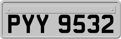 PYY9532