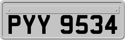 PYY9534