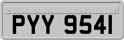 PYY9541