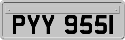 PYY9551