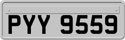PYY9559