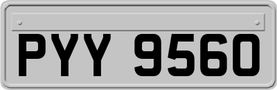 PYY9560