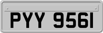 PYY9561