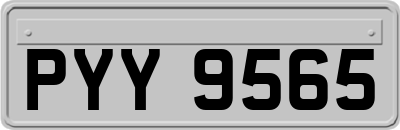 PYY9565