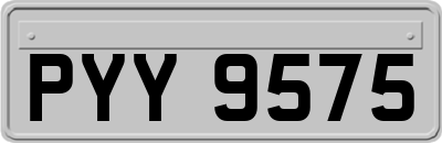 PYY9575