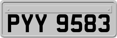 PYY9583