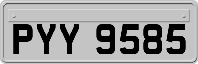 PYY9585