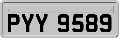 PYY9589